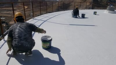 MAPLE-LEAF-POWER-LTD-8