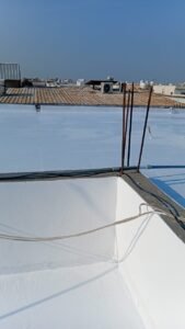 WhatsApp Image 2026-01-29 at 9.56.42 PM